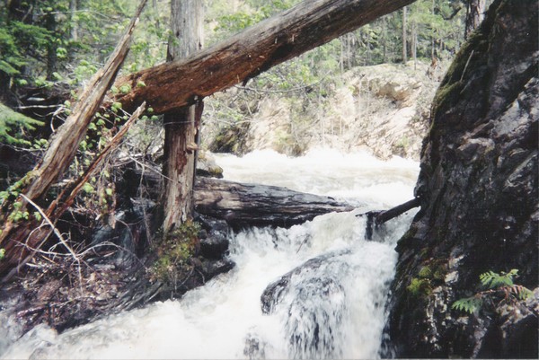 Mountain Stream
