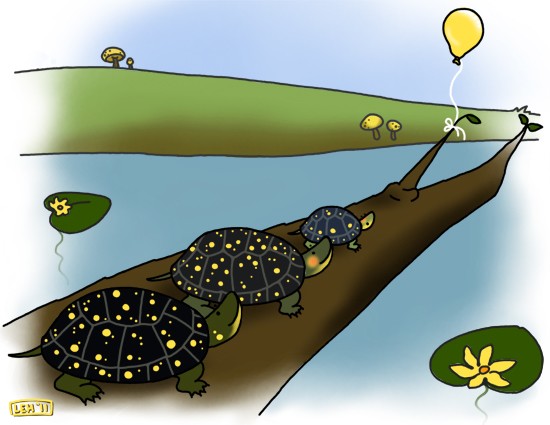 Turtles on a Log