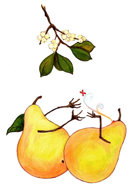 Kissing Pear
