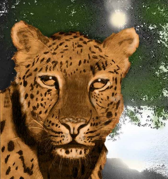 LEOPARD