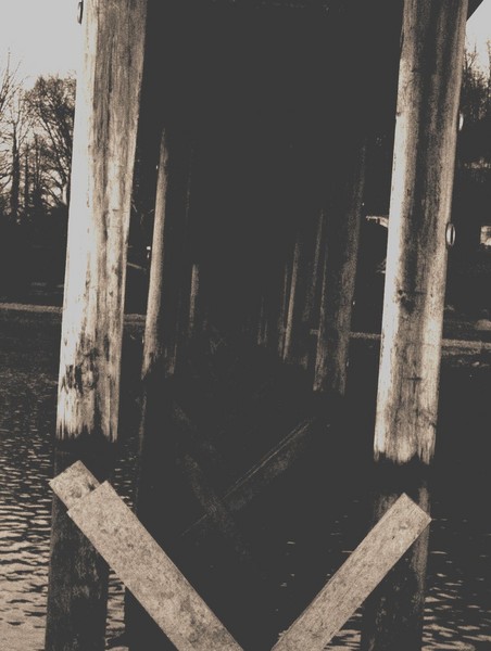 A Bridge of Darkness
