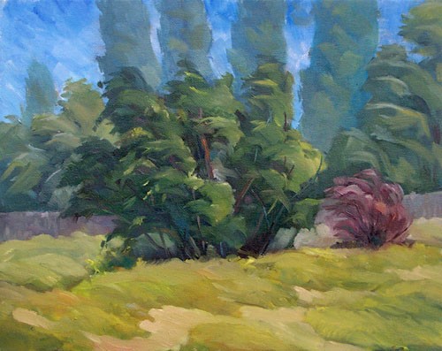 Wind