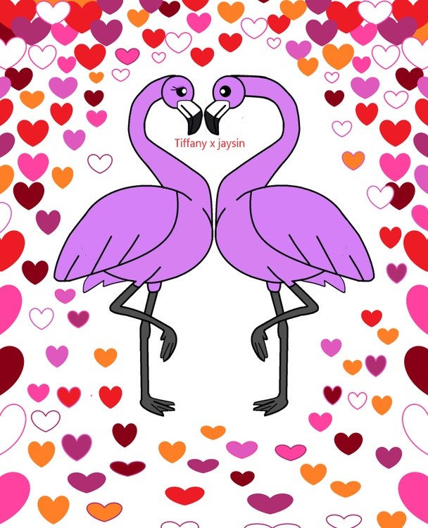 two flamingos' making a heart shape with their neck  valentines'day