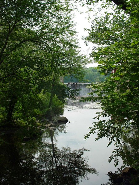 Water Fall View