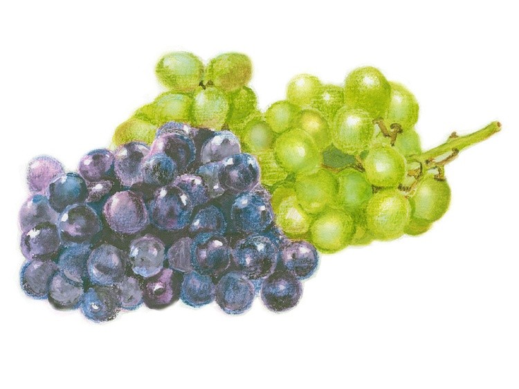 cluster