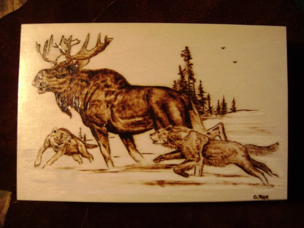 Moose Hunt