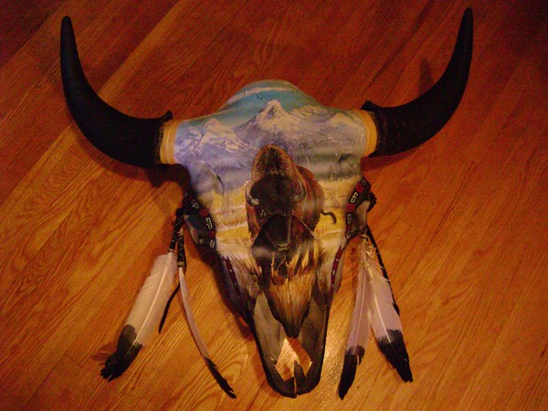 Buffalo Skull