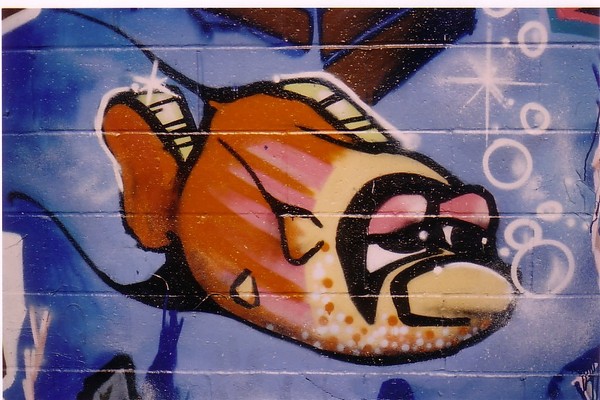 Fish Wall Art