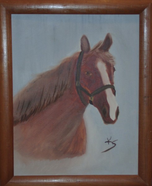Portrait of a horse