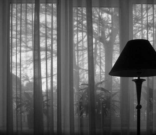 Outside the window