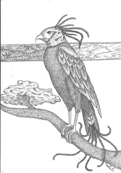 Bird of East