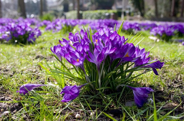 Spring is in the air