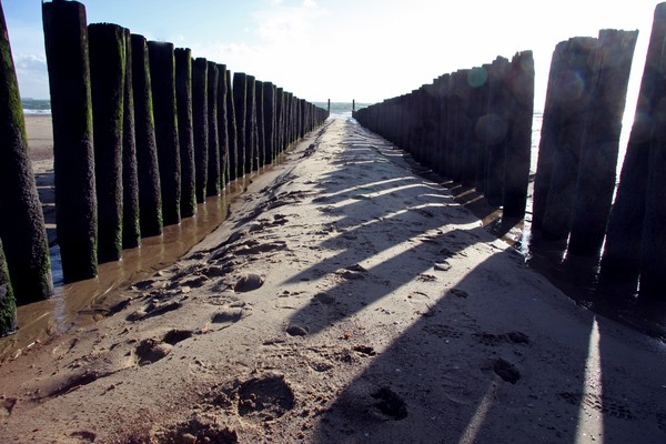 Shadows of the tide