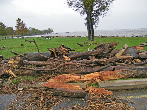 Hurricane Sandy Damage
