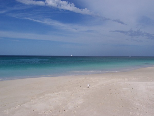 Sorrento Beach