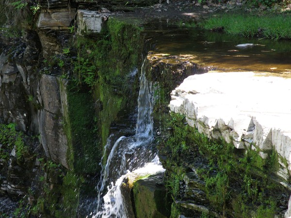 Waterfall I