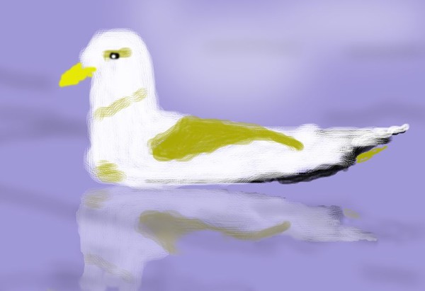 Gull out for a Swim O635