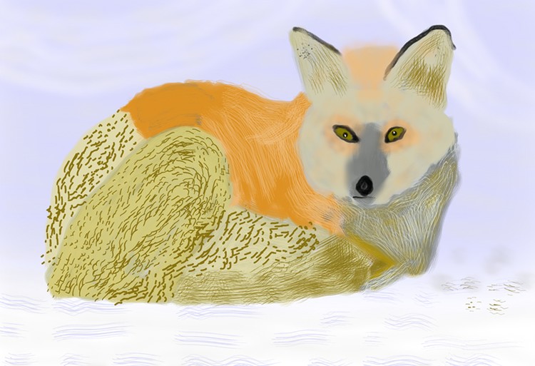 Fox in the Cold  P192