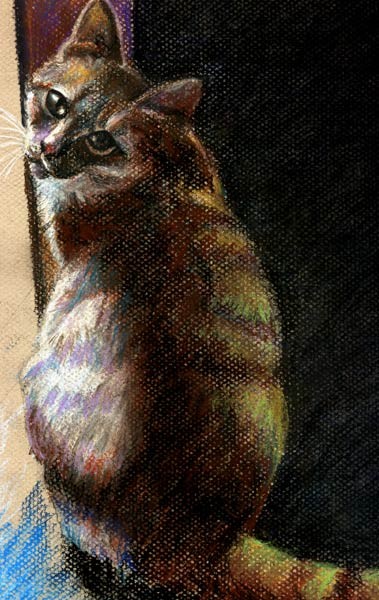 Houdini