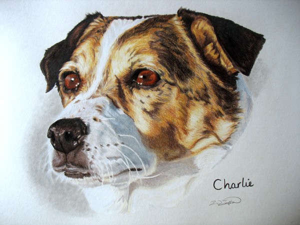 Charlie 