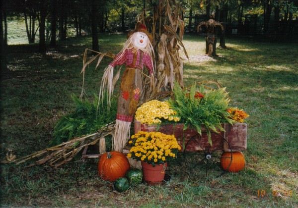 A display of fall