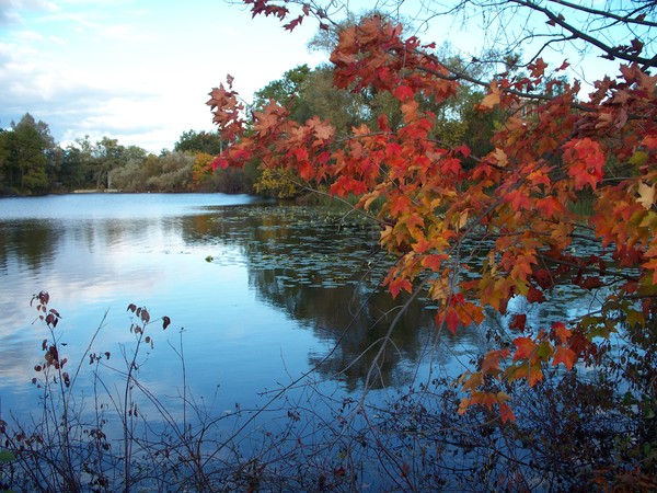 Waterford, Ontario