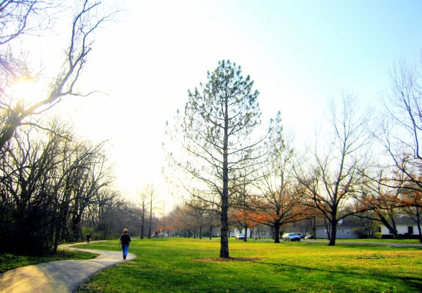 Nature Walk
