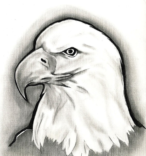 Majestic