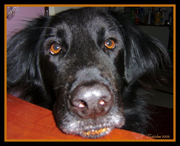 The Face of Love