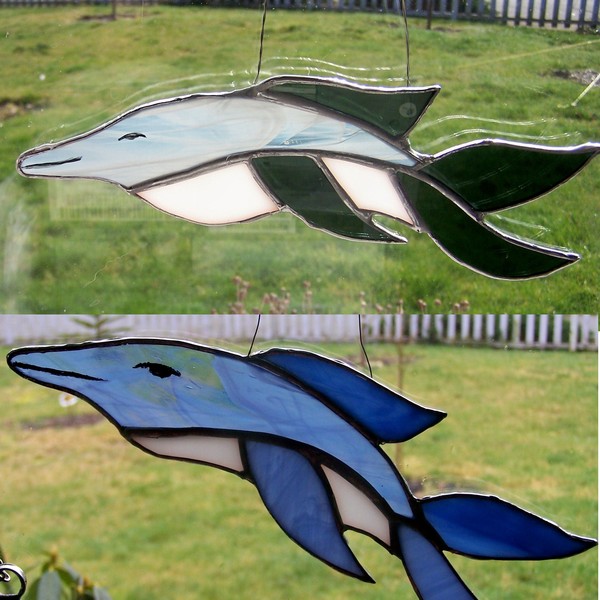 Blue and Grey Dolphins