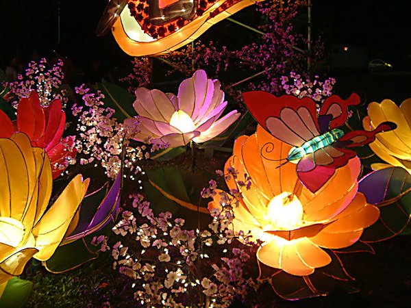 Light Garden 