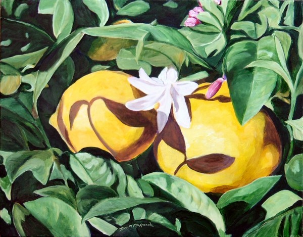 Lemons 5, Ressurection Morning