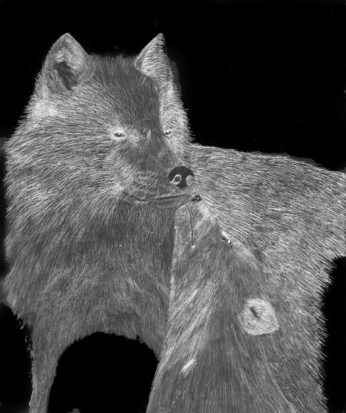 SilverWolves