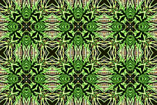 Kaleidograph Eightkal2