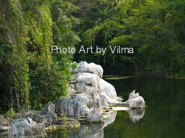 Untitled Landscape