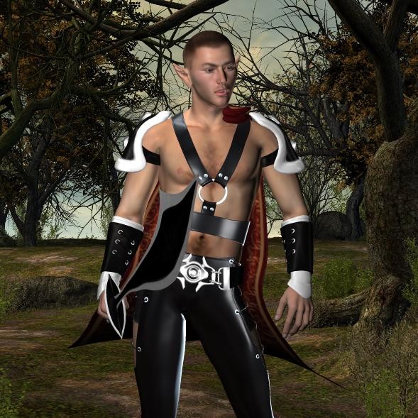 Elven Prince