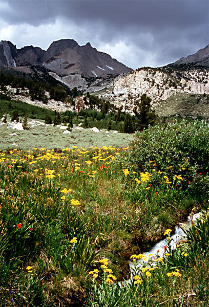 Glorious Summer in the High Sierra
