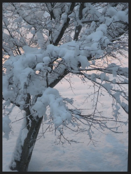 Snow day
