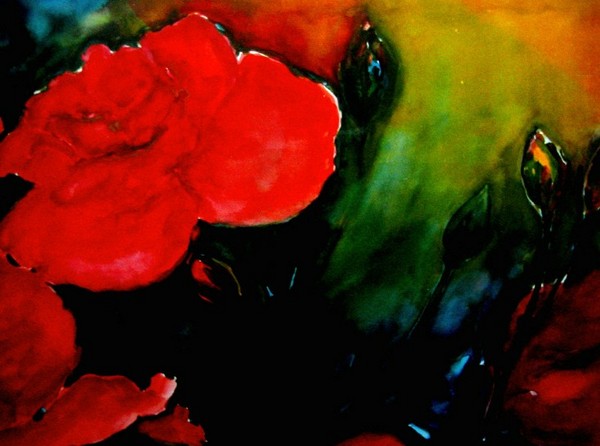 rose