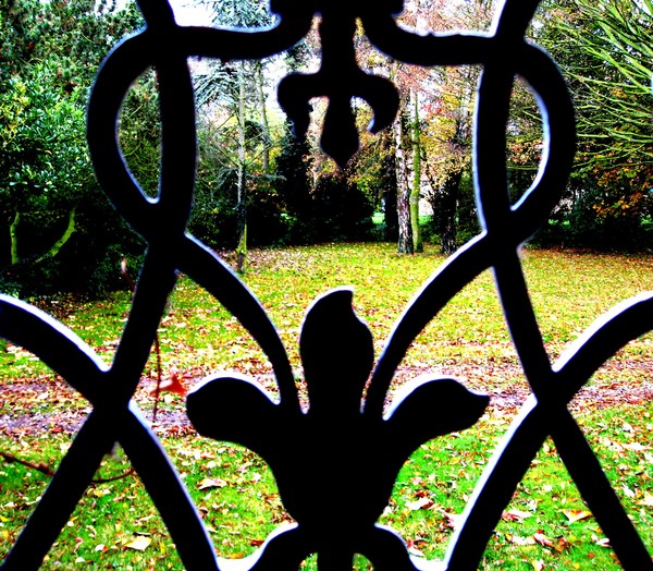 Autumn view from my frontdoor