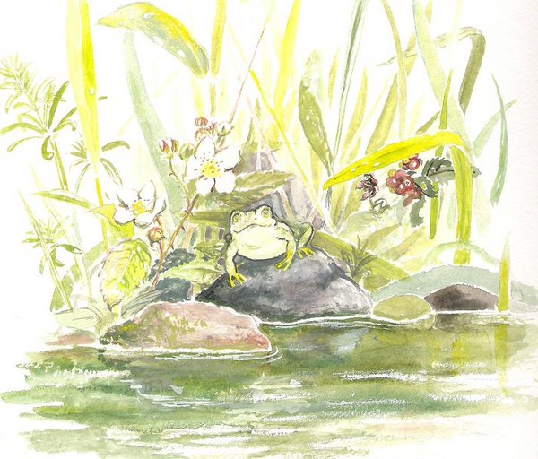 frog