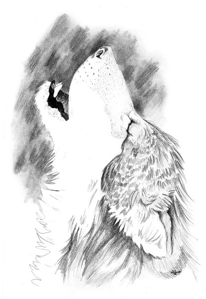 Sing the Sorrow