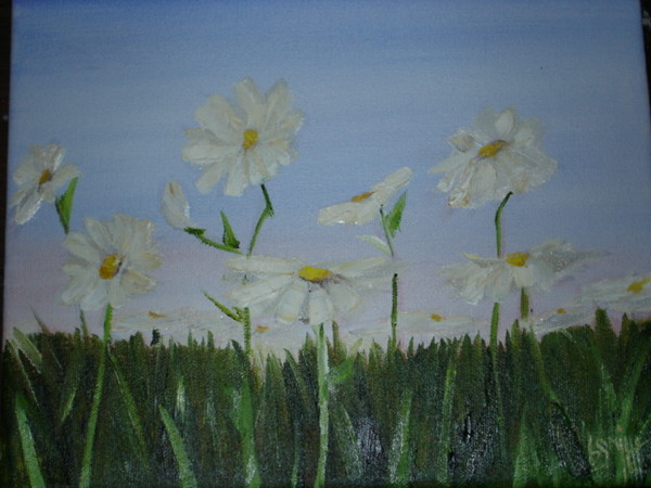 Wild Daisies