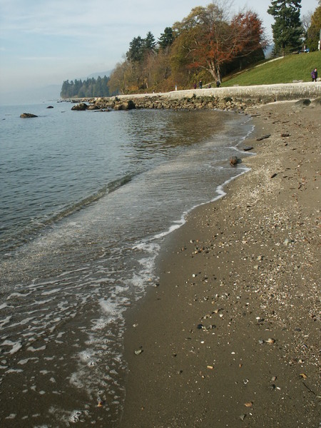 Beach Lines
