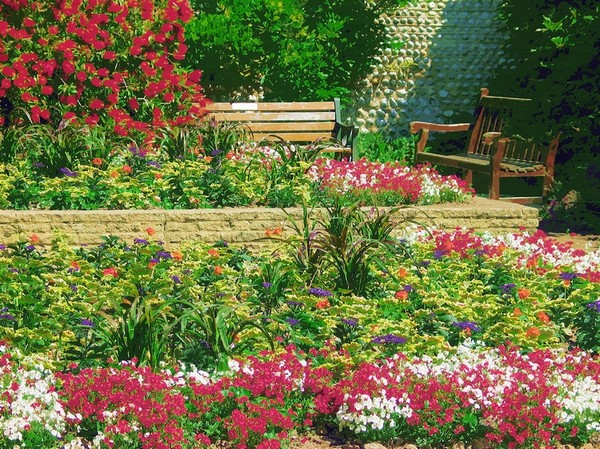 Flower Garden
