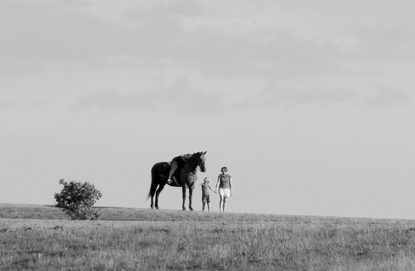 Guarding Horse Balloon Fest