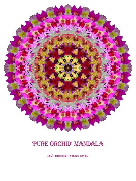 Pure Orchid Mandala