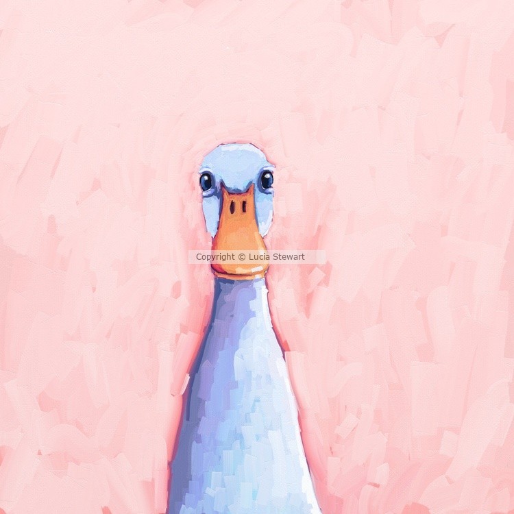 Little Duck