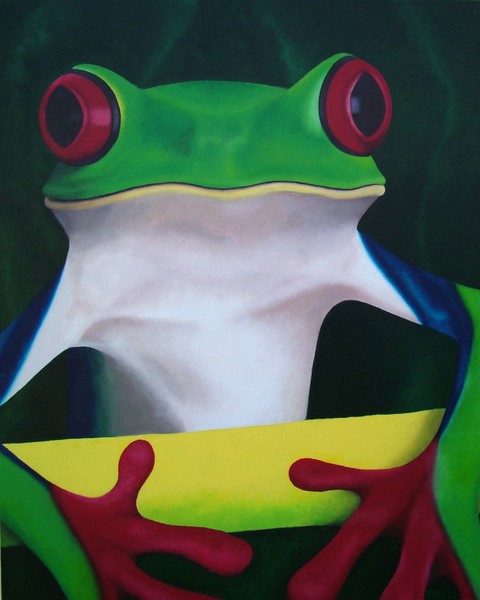 Red Eyed Tree Frog