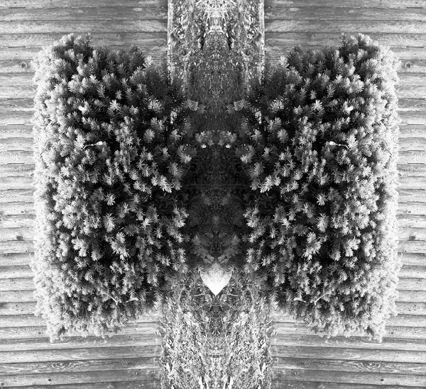 crazed_branches_15